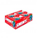 SMINT FRUTAS SILVESTRES 12X8GR.