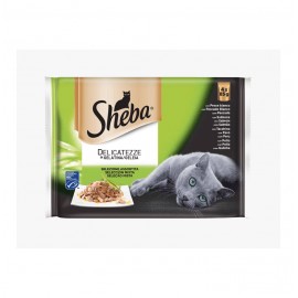 SHEBA SELECCION MIXTA BA34B 13UNX340GR.