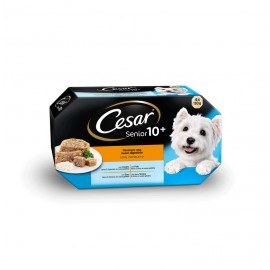 CESAR SENIOR 10+ CORDERO-POLLO CP17J 6UNX600GR.