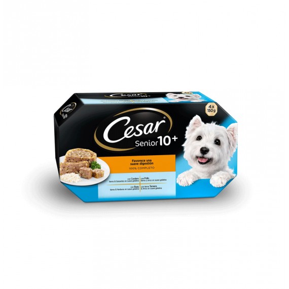 CESAR SENIOR 10+ CORDERO-POLLO BG99G 6UNX600GR.