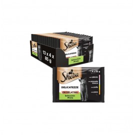 SHEBA SELECCION MIXTA BA34B 13UNX340GR.