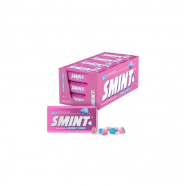 SMINT MINTS BUBBLE FRESH S/AZUCAR 12X35GR.