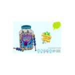 BLUEBERRY STICK GUMMY BOTE 20X50GR.