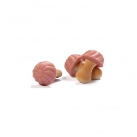 FUNNY MUSHROOMS (SETAS DE FRESA)16X60GR.