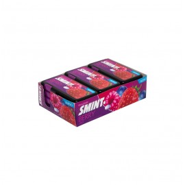 SMINT FRUTOS ROJOS 12X21GR.